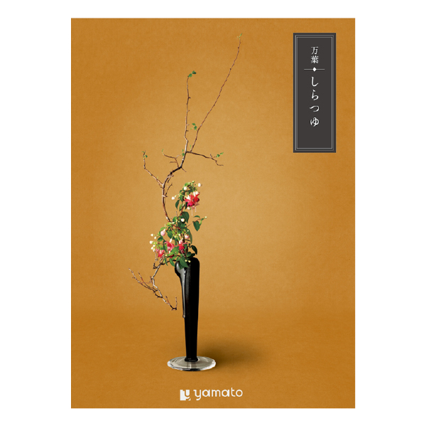 �J�^���O�M�t�g ���t �����